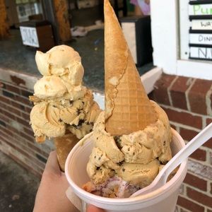 Meet your Posher, Josephine